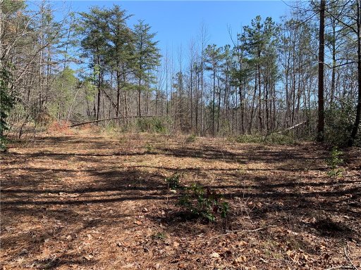 00 Ridge Road