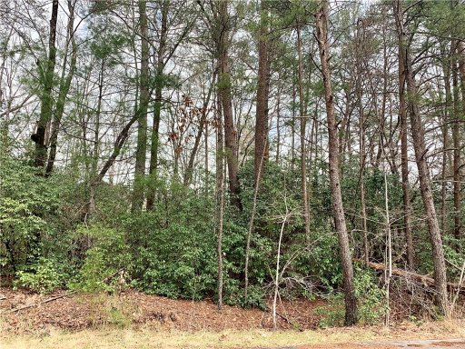 322 Gauley Falls Road