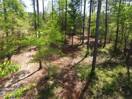 Lot 5 Coachman Trail