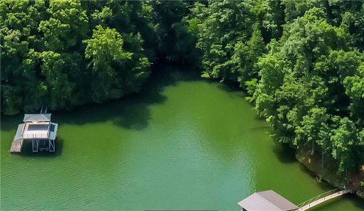 00 Loblolly Pine Drive