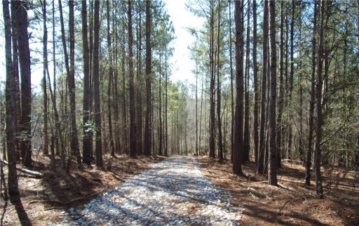 317 Little River Crossing Road