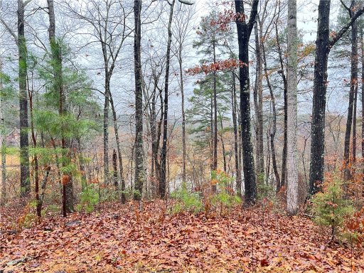 Lot 4 & 5 Hunters Trail