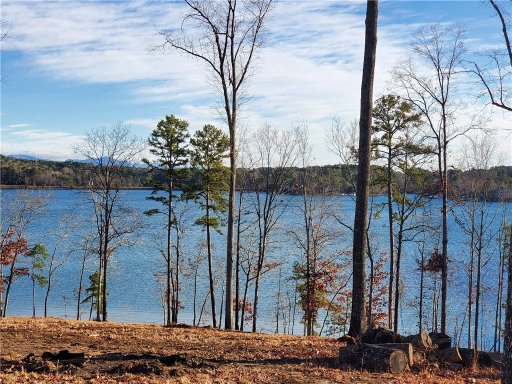 Timber Cove