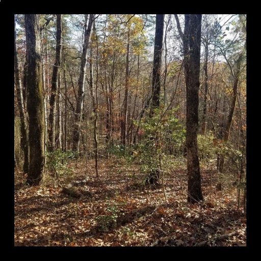 Lot #8 Beacon Ridge Circle