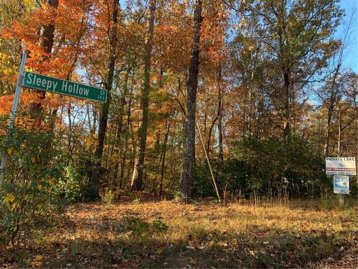 501 Sleepy Hollow Court