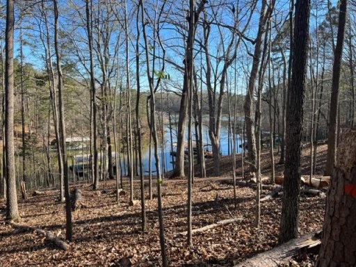 1204 Cartee Road
