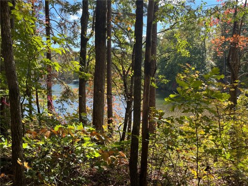 Lot 10 Riverstone Drive