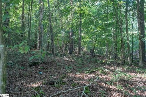 Lot 53 Overlook Drive