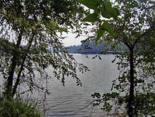 564 Rock Creek Bay Road