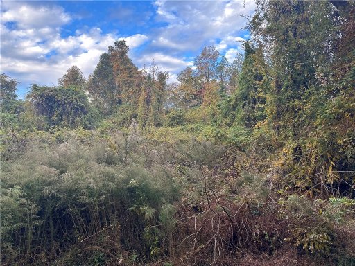 01 Dogwood Drive