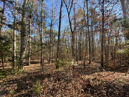 344 Shore Crest Drive