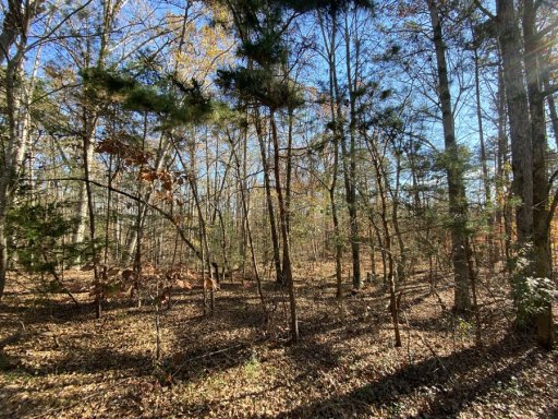 314 Shore Crest Drive