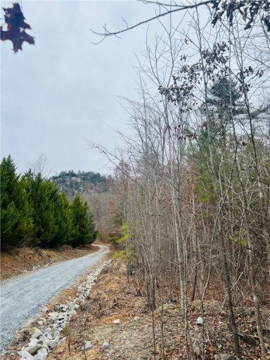 000 Big Rock Lake Road