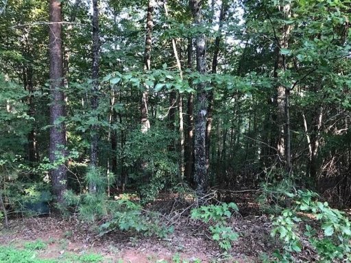 231 Bay View, Lot 8 Drive