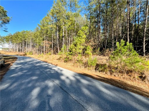 1007 Peninsula Pines Drive