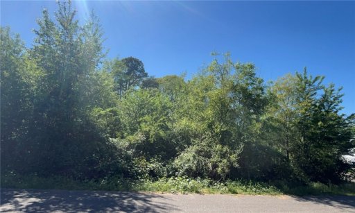 1135 Cartee Road