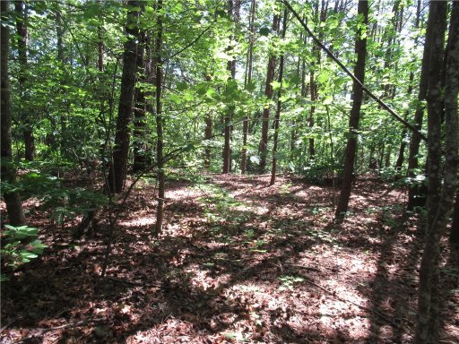 221 River Bliff Road