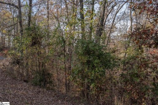 Lot 41 Overlook Drive