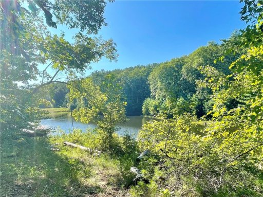0 Stoney Creek Trail