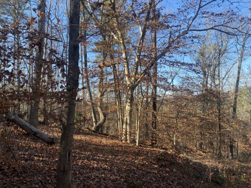 0 Horseshoe Bend Drive