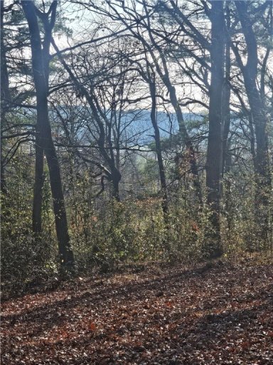184 Majestic Ridge Road