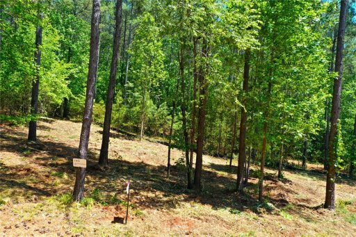 Lot 145 Peninsula Pointe North