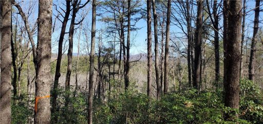 116 Sweetshrub Way