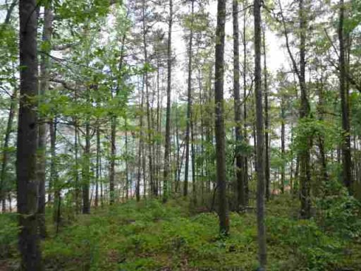 00 Tammerick Trail Lot 12  0.58 Acres