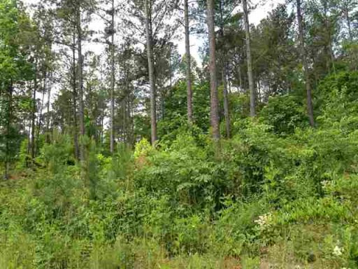 Lot 59 Four Pointes Natures View Drive