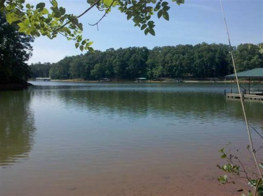 000 Overlook View Lane