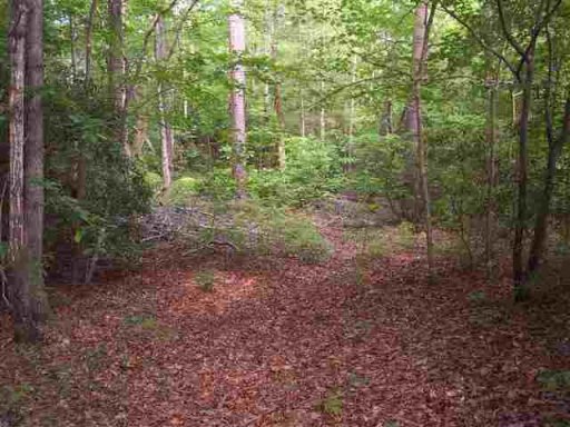 354 Gauley Falls Road