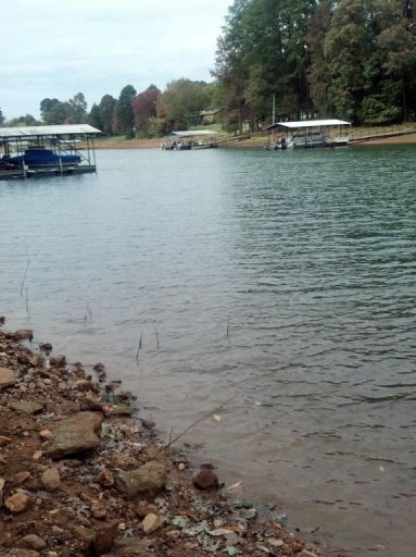 124 Gilmer Circle Lot 29