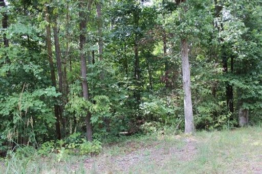 0 Lakeshore Cir, 67 & 68