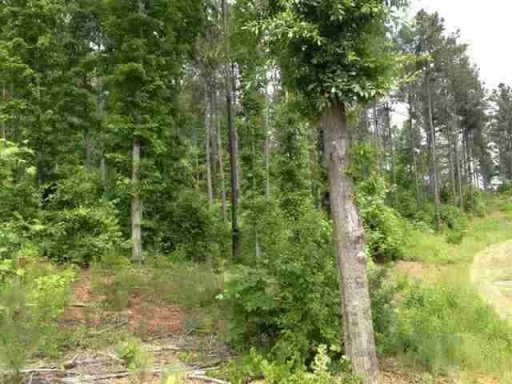 Lot 58 Four Pointes Natures View Drive
