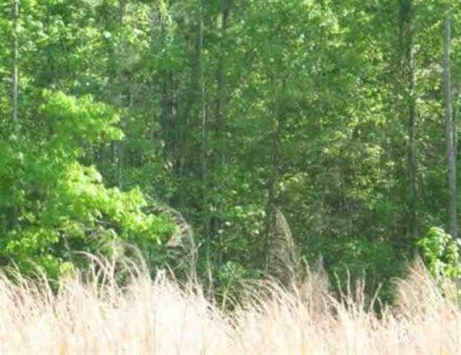 Lot 1-A Clearview Drive Lake Secession