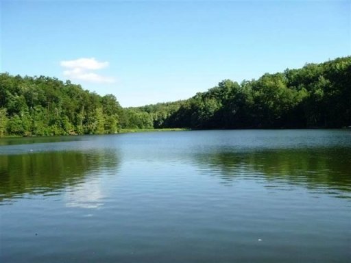 279 Lake Cheohee