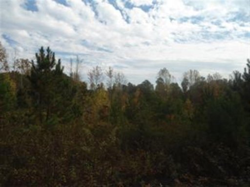 Lot 22 & 23 Pine Hollow Lane