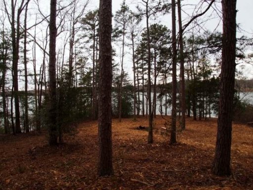 Lots 33&34 Hudgens Lake Road