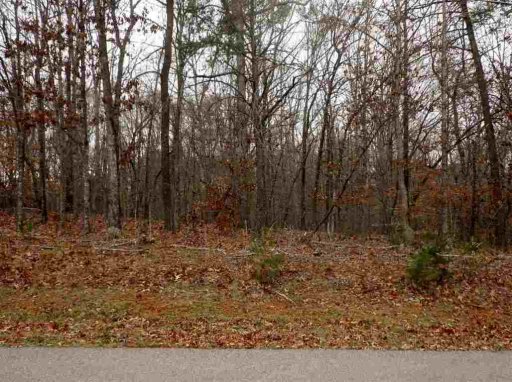 219 Dove Hill Circle Lot 8A