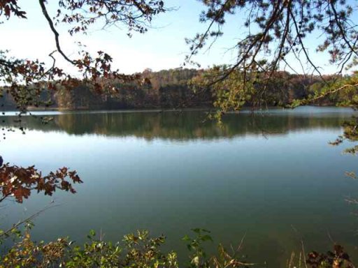 Lot 13 The Cove