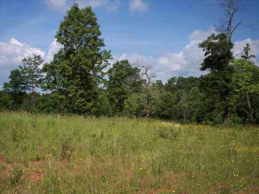 505 Lariat Loop Lot 19 Blue Mountain Esta