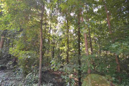 Lot 67 & 68 Lakeshore Circle