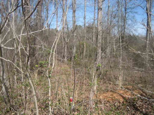 Lot 3 Brookside Drive