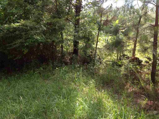 00 Stafford Road