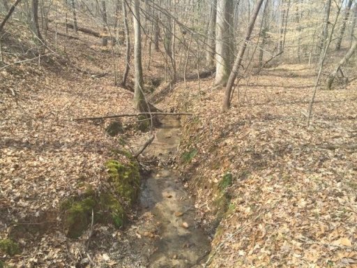 Lot 12 Martins Creek Road 6 ac Martins Creek road