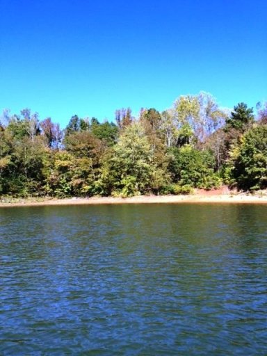 100 Willowbend Drive