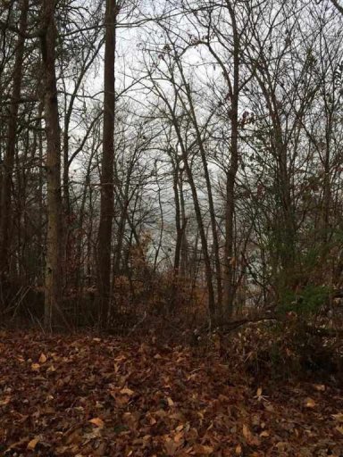 0 Horseshoe Bend Lot 6