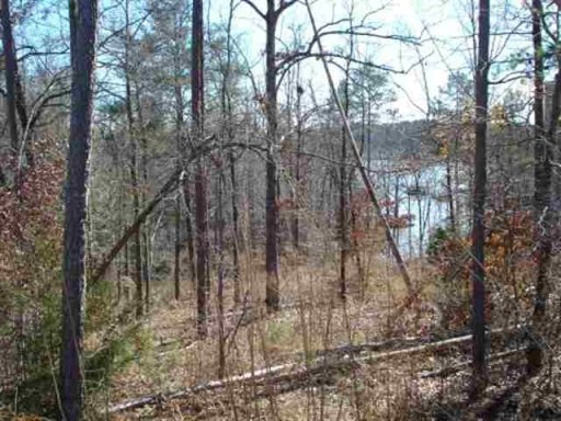 261 Capps Road Lots 34 & 35