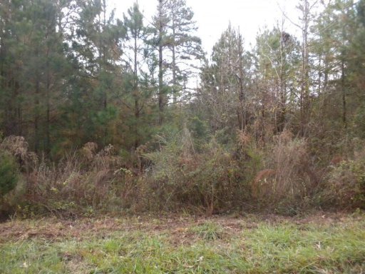 Lot 3 & 4 Maret Road