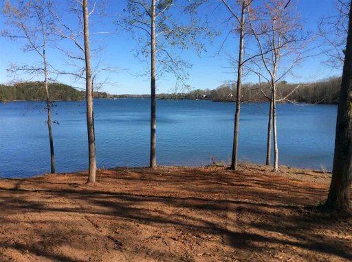 00 The Pointe Drive lot 8